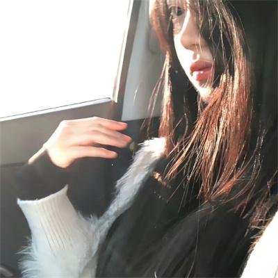 犬舍惊魂